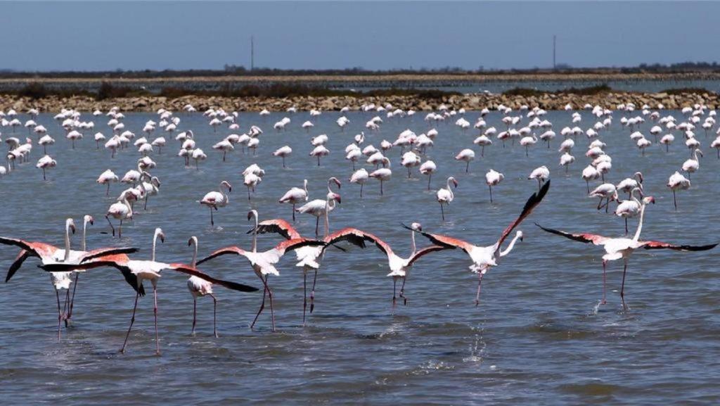 Les Poissons Διαμέρισμα Σετ Εξωτερικό φωτογραφία